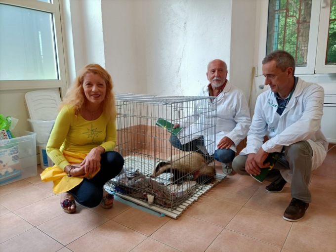 Cras Stella del Nord forma volontari per soccorrere animali selvatici