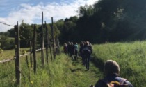 Inaugurato l'Antico Percorso di Fede in Brianza