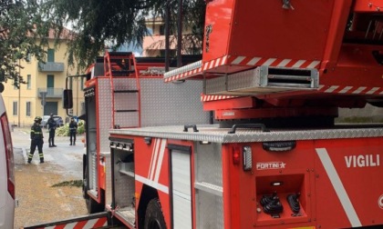 Maltempo: rami pericolanti in via Caldone, intervengono i pompieri