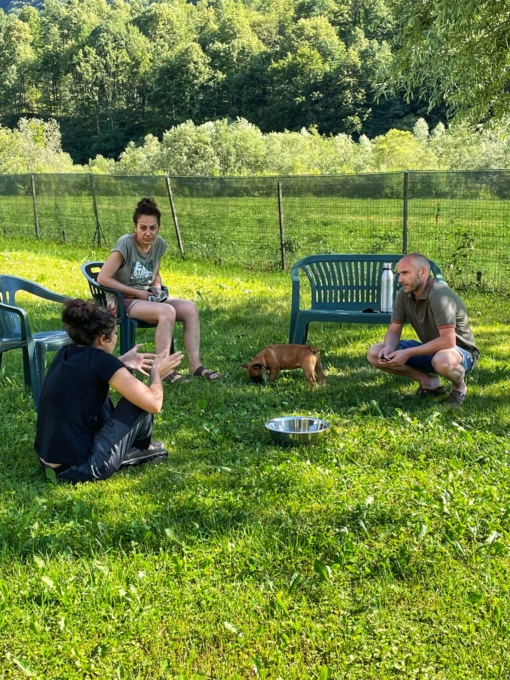 dog day
