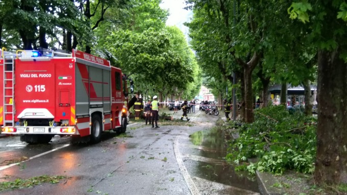 albero caduto causa tempesta