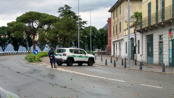 albero caduto causa tempesta