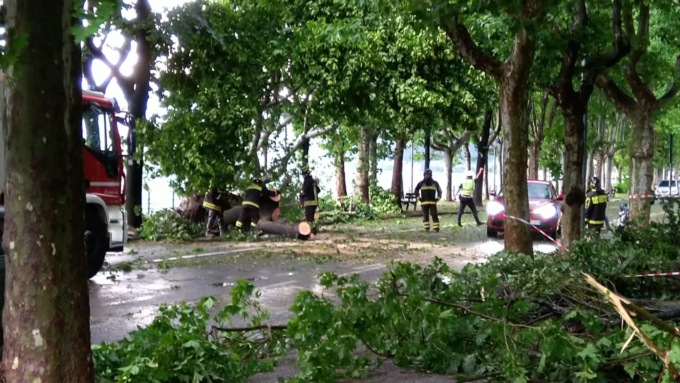 albero caduto causa tempesta