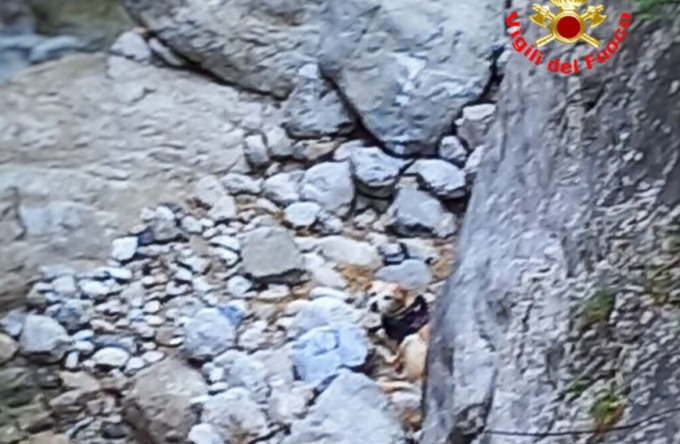 Cade nel torrente e rimane bloccato per un giorno: Pelù salvato dai pompieri