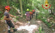 Anziano colto da malore nel bosco