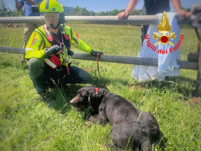 Cane colpito da malore in Grignetta: tratto in salvo