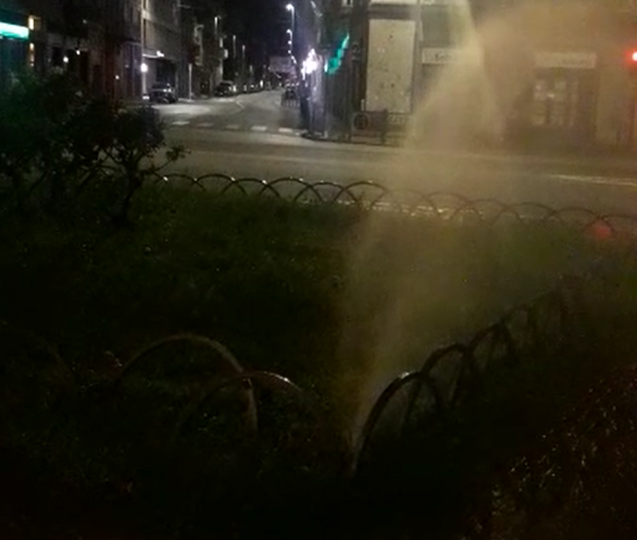 Crisi idrica: ma non dovevamo risparmiare acqua? Il video delle aiuole comunali annaffiate… di notte