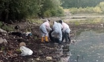 Il lago basso svela una "discarica": scatta la pulizia straordinaria delle sponde LE FOTO