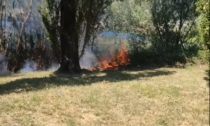 Incendio al Lavello: a fuoco il canneto