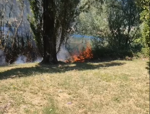 Incendio al Lavello: a fuoco il canneto