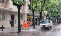 Pulizia strade, più decoro in viale Turati