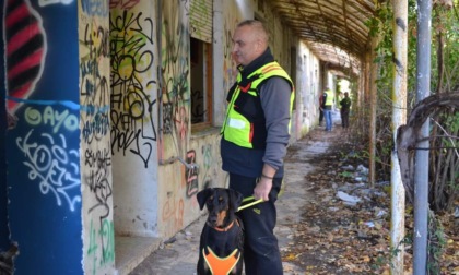Tracce ematiche e resti umani: cani detective in azione a Consonno