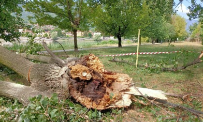 Temporali di luglio: danni per 100mila euro nel comparto pubblico in provincia di Lecco