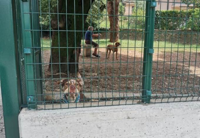 Lecco: aree cani aperte senza più limiti di orario