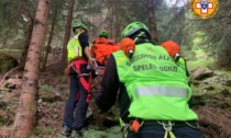 Fungiatt assalito da uno sciame di vespe: soccorso un 35enne