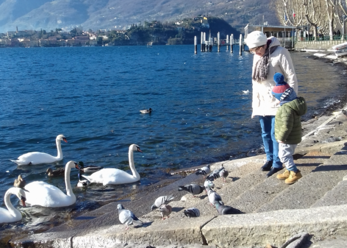 Niente cibo ad animali randagi e selvatici, Bettega: “A Lecco mancava solo il divieto delle briciole…”