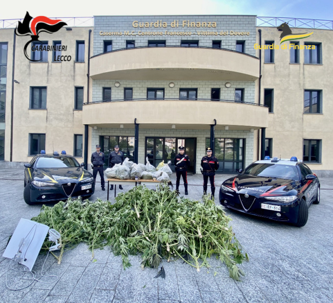 Scoperto laboratorio clandestino della droga, sequestrati 30 chili di “marija”