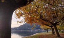 L'autunno a Lecco ritratto nelle foto di Giovanna Zagarella