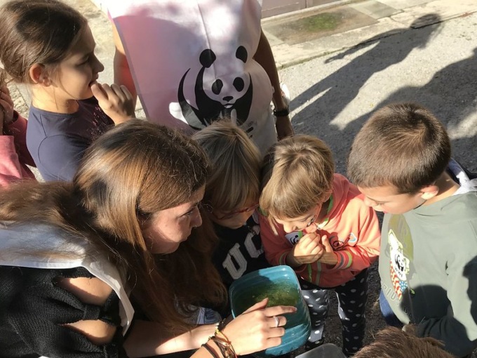 Wwf Lecco, “La natura è colore” per i bambini
