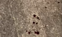 Ennesima rissa a Lecco: scia di sangue in via Cavour, VIDEO