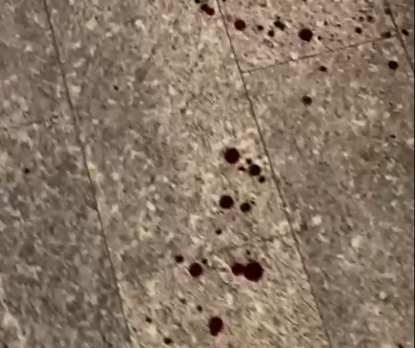 Ennesima rissa a Lecco: scia di sangue in via Cavour, VIDEO