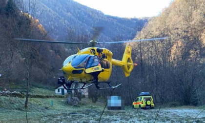 Si ferisce tagliando la legna, soccorso in elicottero