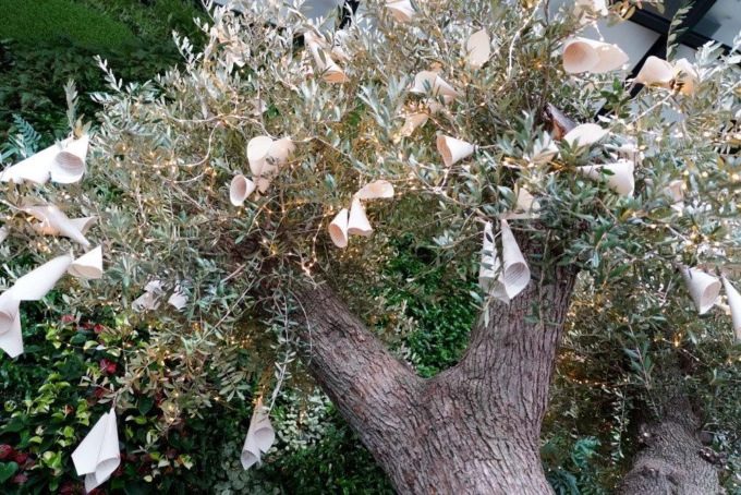 In Pharmalife Research è tempo di “Natale dei Ringraziamenti”