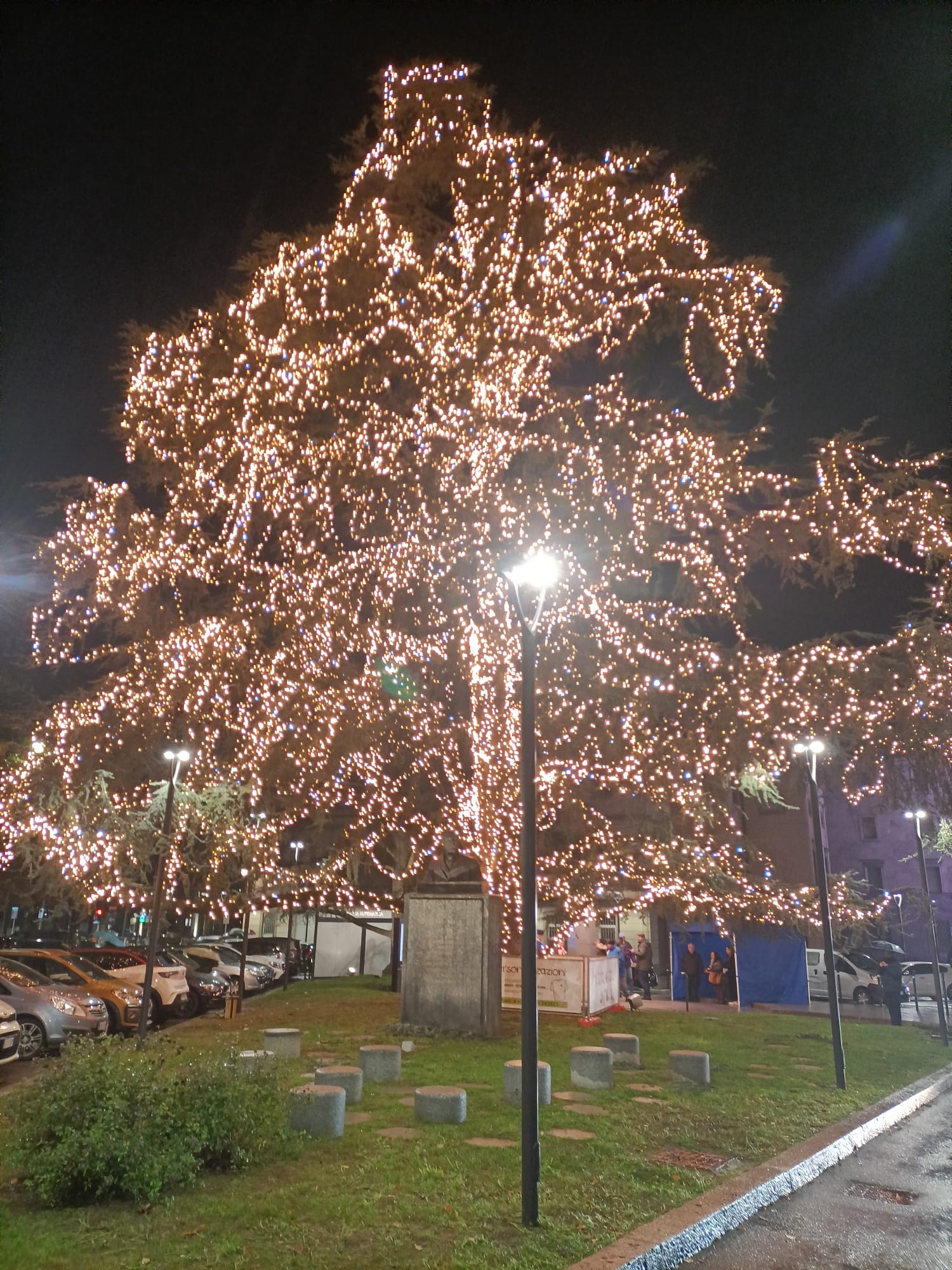 albero di Natale Lecco 2022 (1)