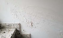 Umidità di risalita nei muri: dalle iniezioni di resina a quelle siliconiche