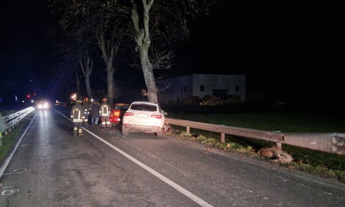 Cervi, dopo l’incidente mortale la denuncia: “È allarme per la sicurezza di cittadini e imprese”