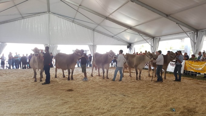 Elezioni regionali, Piazza (Lega): “Creeremo un Hub delle eccellenze in Valsassina”