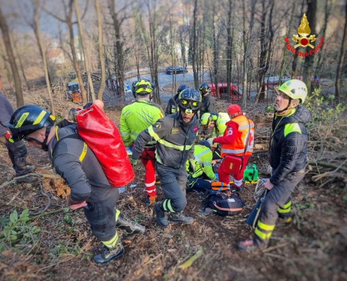 Colpito da un albero: grave un taglialegna