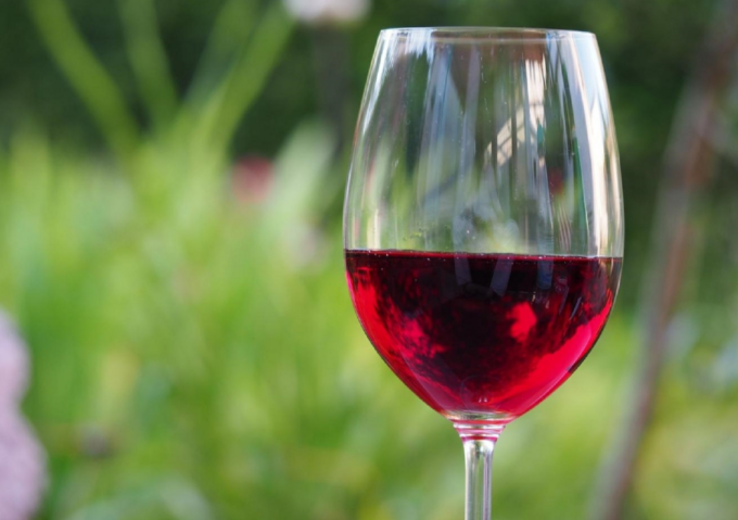 Degustazione di vini in villa con il produttore Andrea Picchioni