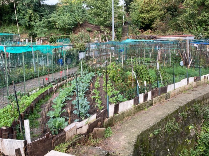 Orti Comunali a Calolziocorte: proroga bando per l’assegnazione