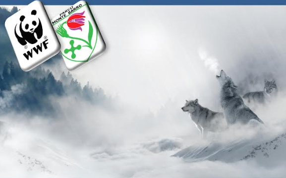 Disegniamo la natura con WWF Lecco