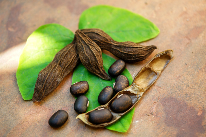 Mucuna pruriens, il nuovo afrodisiaco che tutti cercano