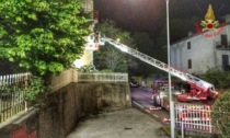 Incendio in una palazzina: muoiono intossicati un cane, un gatto e un pappagallo