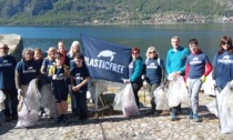 Plastic Free organizza 4 raccolte sul territorio