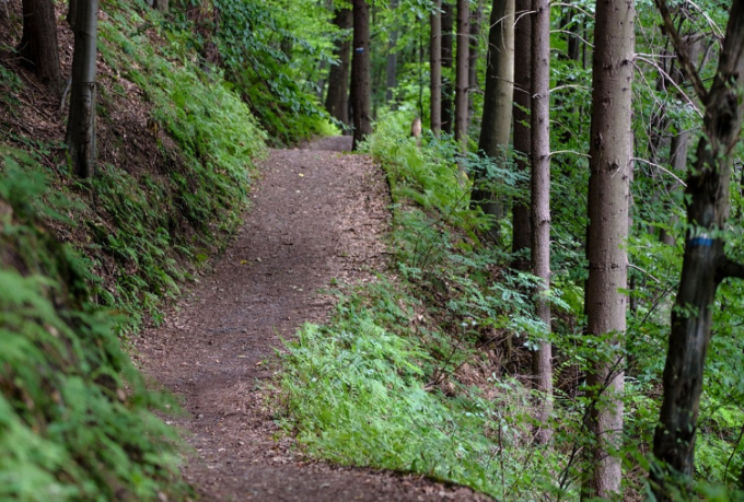 Un corso pratico per conoscere i sentieri