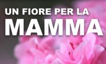 Un fiore per la mamma: raccolta fondi della Cri Lecco