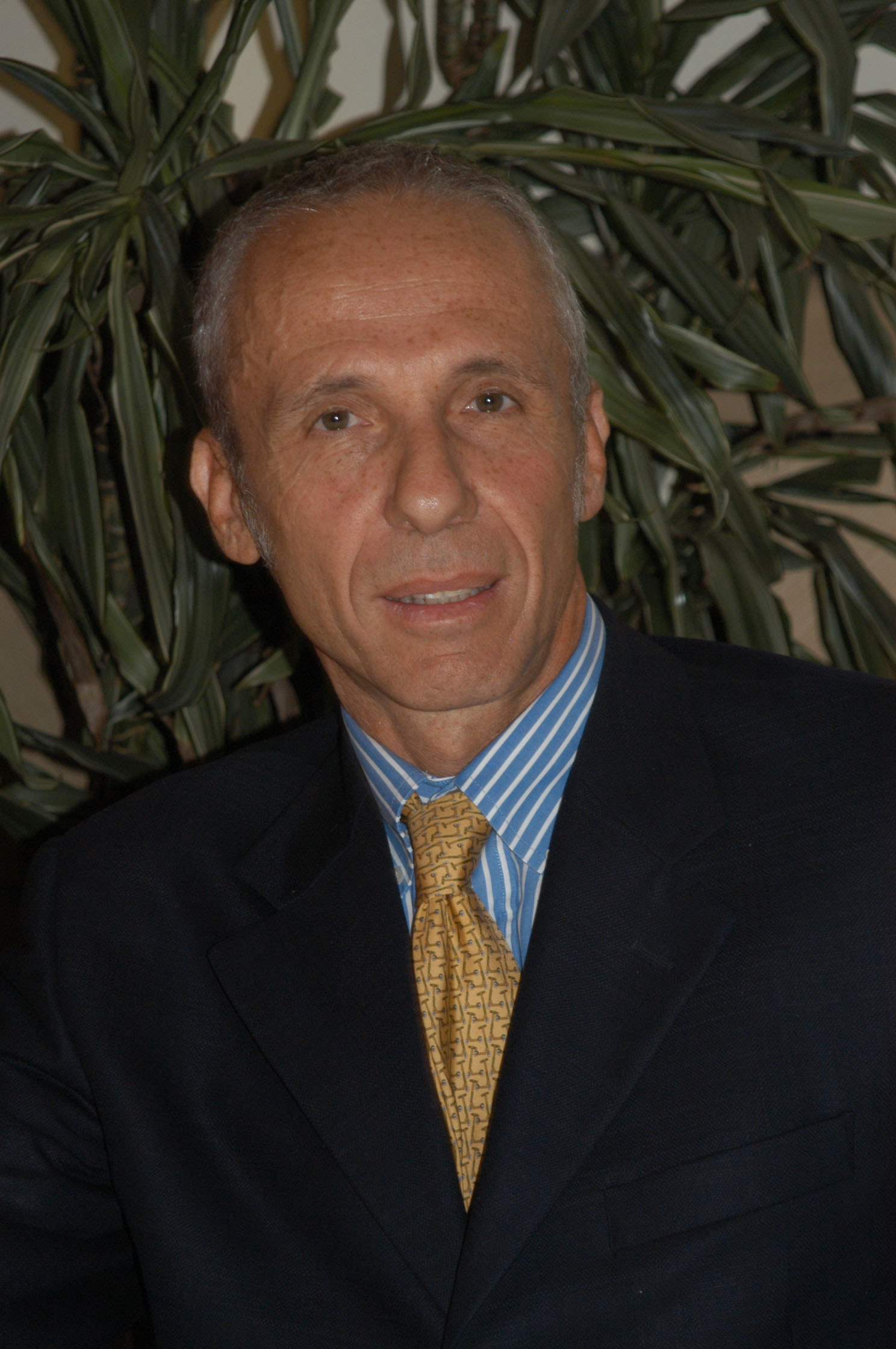 Luigi Gnecchi, presidente della Holding Dolomite Colombo che controlla il gruppo Unicalce
