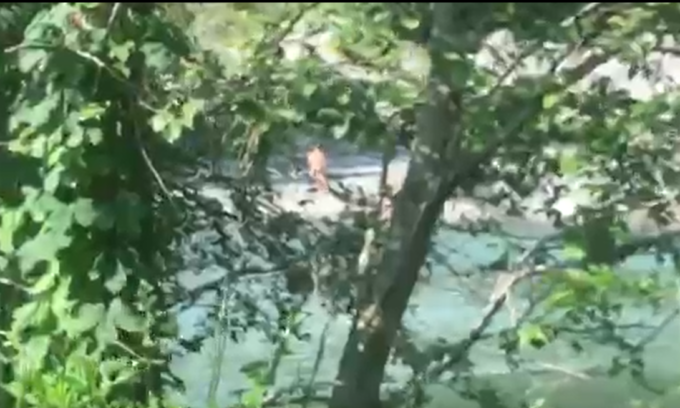 Tintarella integrale: nudisti sull’Adda