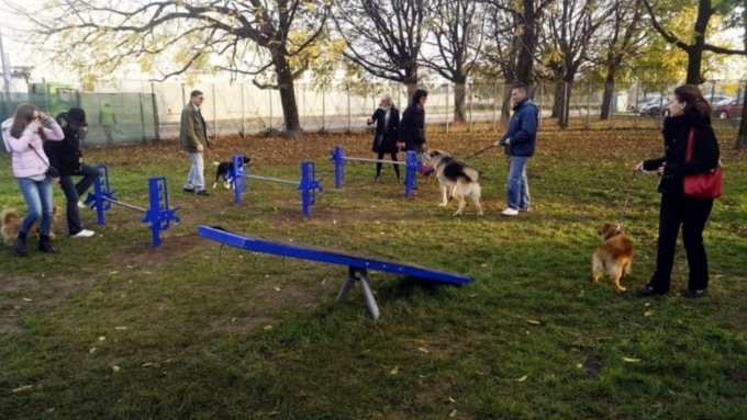 Area cani: attrezzature “abbandonate”. Cambia chiede spiegazioni