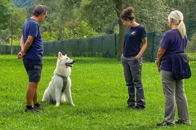 Cortenova, tutto esaurito per la seconda edizione del Dog Day