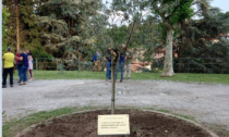 Albero della Libertà piantato alle scuole medie