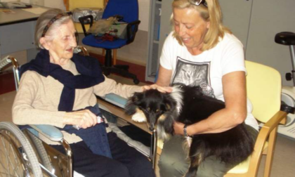 Pet Terapy: nasce una nuova realtà per curare con gli animali