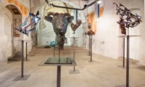 Bellano: Danilo Vitali dona 41 sculture alla Comunità