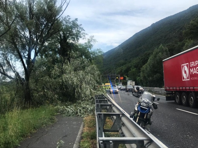 Albero cade sulla Statale 36, motociclista a terra soccorso in codice rosso