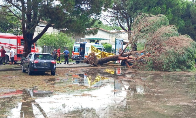 Donna muore travolta da un albero: tragedia in Brianza
