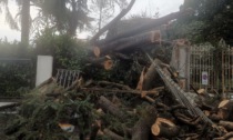 Disastro in Lombardia: chiesto lo stato di emergenza